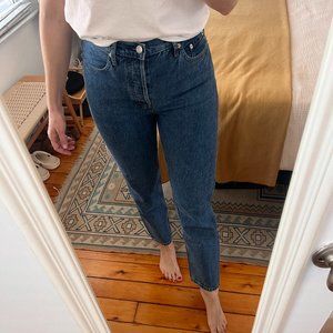 NWOT Everlane Cheeky Jean (27R)